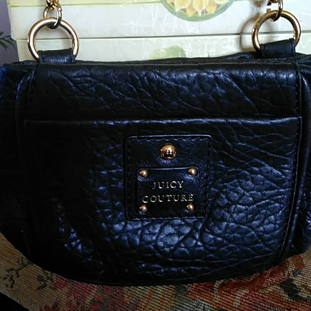 Juicy Couture Small bag